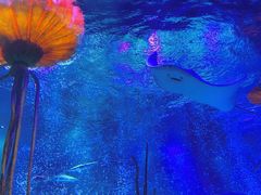 -沈阳海洋探索中心