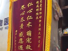 -宠爱国际动物医院·疑难骨科·心肾内科·皮肤科(太阳宫店)