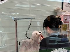 -FAELING PETS美天灵宠物(合生汇店)