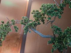 -香港狮子山下·明星粤菜餐厅(北苑店)