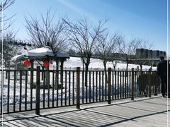 -北京鹿世界主题园