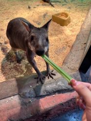 -Zoolung Zoolung动物主题公园(海信广场店)