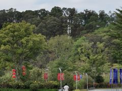 -飞凤山奥体公园