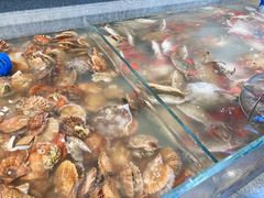 梭子蟹-圣罗巴海鲜自助(黑金店)