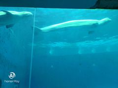 -石林冰雪海洋世界