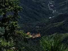 -天目山大树王景区
