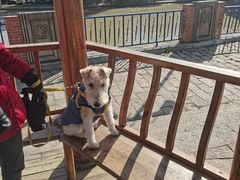 -长兴菜馆(高桥店)