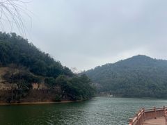 -桃花岭景区
