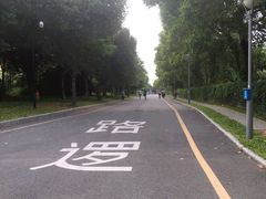 -福田红树林生态公园