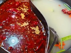 -陈府大宅门成都火锅·手切鲜肉(太原街店)
