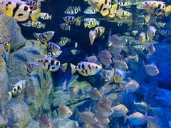 -成都浩海立方海洋公园