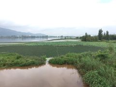 邛海湿地公园-西昌邛海湿地