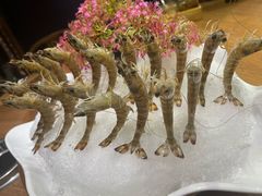 斑节虾-尚海豆捞(乐虹坊店)
