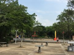 -滴水岩森林公园