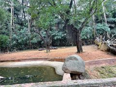 -广州长隆野生动物世界