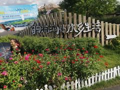 -江门古劳水乡旅游区