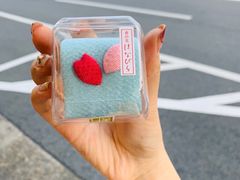 -香老铺松荣堂(产宁坂店)