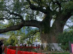 -新安江山水画廊风景区