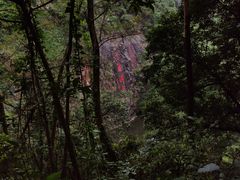 -水濂山森林公园