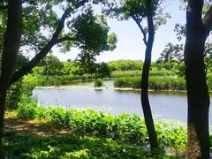 -同里国家湿地公园