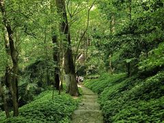 -岳麓山风景名胜区