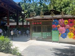 -野象谷景区