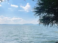 -捞渔河湿地公园