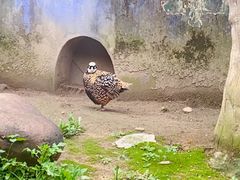 -杭州野生动物世界