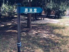 -陕西省游泳跳水馆