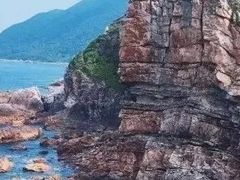 -杨梅坑