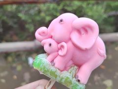 -秦皇岛野生动物园