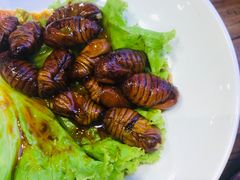 -老佛爷蛙锅•鲜蛙煲(麦凯乐店)