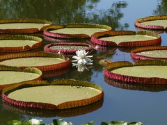 -国家植物园南园