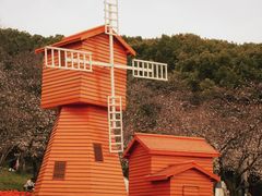 -苏州上方山国家森林公园