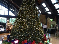 -三亚湾海居铂尔曼度假酒店