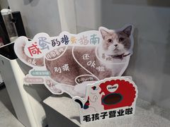 -伟伟宠物医院·CT影像中心·瑞派犬猫综合性门诊(汉口总院)