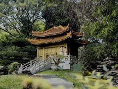 -深圳国际园林花卉博览园