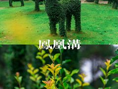 -凤凰沟景区