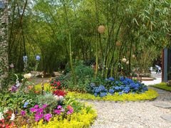 -深圳仙湖植物园