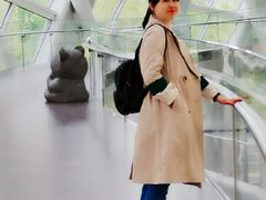 -凤凰中心