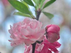 -白塘生态植物园