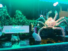 -無招牌海鮮(芽笼店)