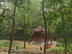 -云岗森林公园