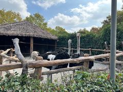 -上海野生动物园