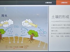 -上海自然博物馆