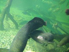 -多彩贵州城极地海洋世界