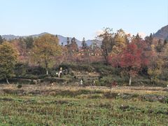 -塔川景区