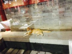 -有喜胶东小馆(超极合生汇太申祥和店)