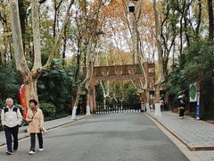 -灵谷景区