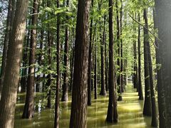 -采石矶景区